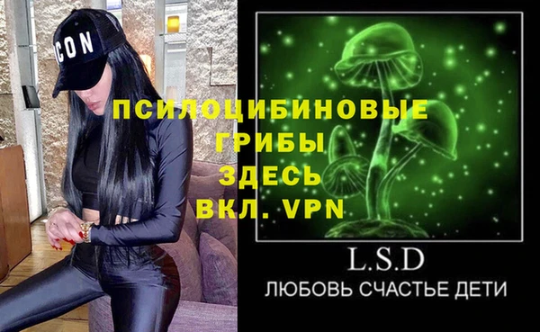 соль ск Ладушкин