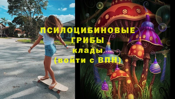 соль ск Ладушкин