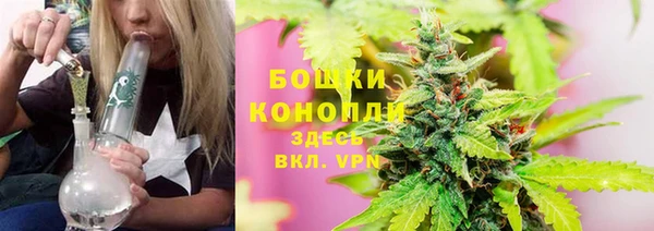 соль ск Ладушкин