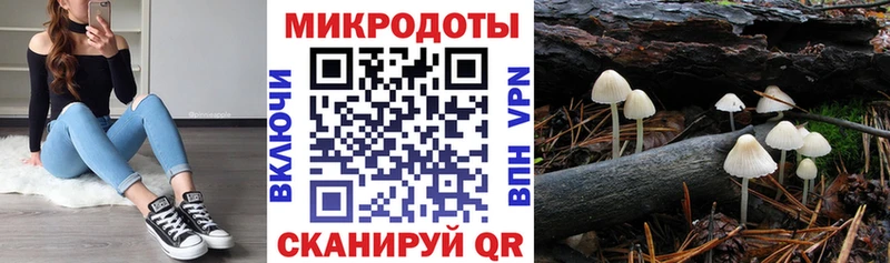 как найти наркотики  Цивильск  Галлюциногенные грибы MAGIC MUSHROOMS 
