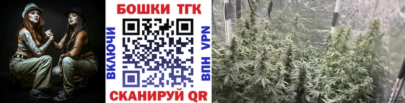 купить  цена  Цивильск  darknet Telegram  Марихуана AK-47 